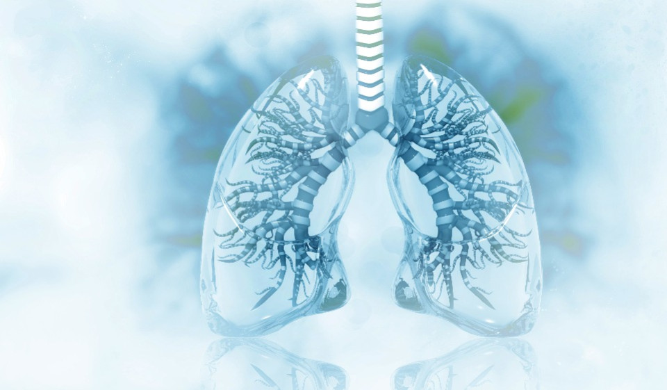 Болезни не исчезают! Новая вакцина от пневмококковой инфекции